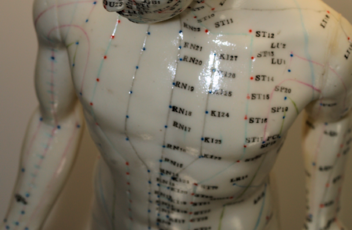 Male-acupuncture-model-whole-body-front